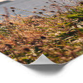 Poster Bord de mer d'Oban (Coin)