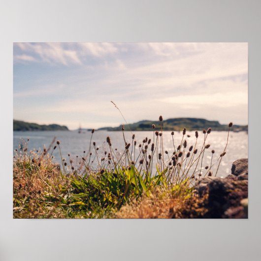 Poster Bord de mer d'Oban (Devant)