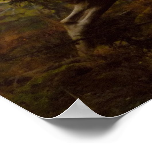 Poster Bord des amalgames (Coin)