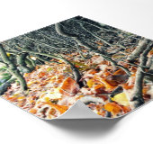 Poster Bord du fleuve Hafren (Coin)