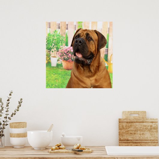 Poster Bordeaux Mastiff (Cuisine)
