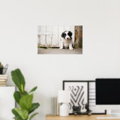 Poster Border Collie (Bureau à domicile)