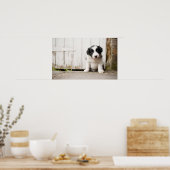 Poster Border Collie (Cuisine)