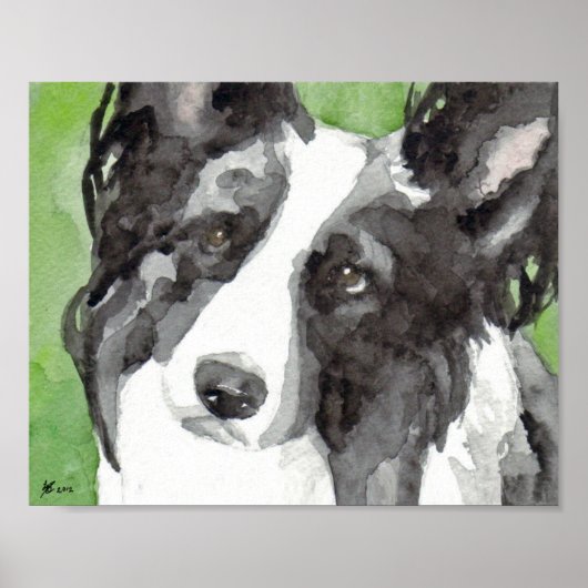 Poster Border Collie Aquarelle (Devant)