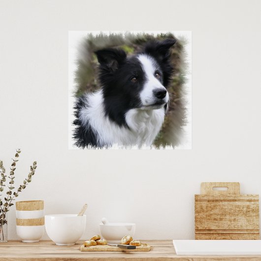 Poster Border collie art (Cuisine)