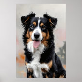 Poster Border Collie, l'objet de tous les regards dans le (Devant)