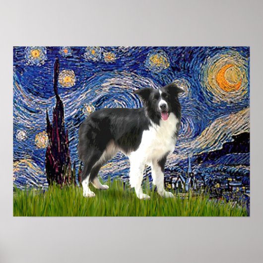 Poster Border Collie (Z) - Nuit étoilée (Devant)