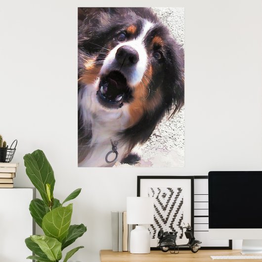 POSTER BORDER COLLIES (Bureau à domicile)