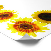 Poster Bordure/cadre de tournesol sans Arrière - plan (Coin)