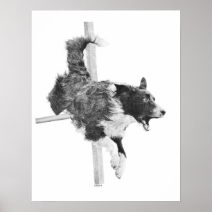 Poster Bordure Collie Agility Chien Canine Art Chien Dess