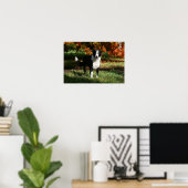 Poster Bordure Collie Automne Debout (Bureau à domicile)