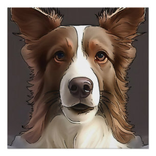Poster Bordure Collie Chien Portrait de animal de compagn