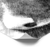 Poster Bordure Collie crayon face Art #2 (Coin)