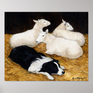 Poster Bordure Collie et mouton Chien Art Imprimer