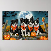 Poster Bordure Collie Halloween Éffrayant (Devant)