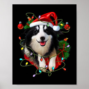 Poster Bordure Collie Reindeer Santa Hat Noël Lumières Ch