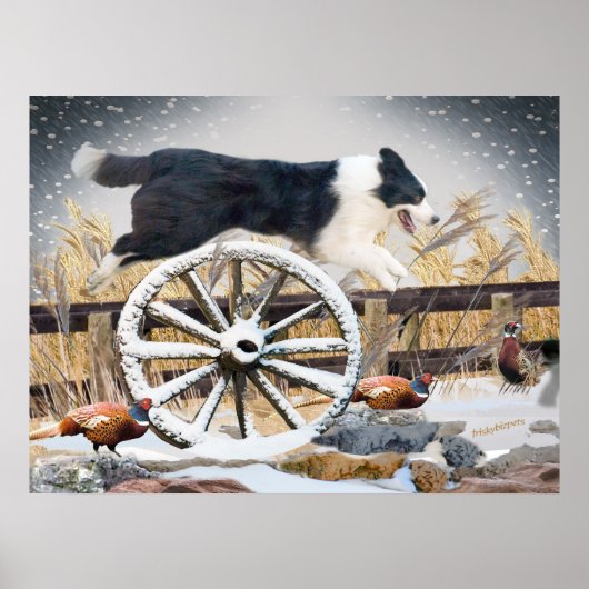 Poster Bordure Collie Roue de chariot de saut (Devant)