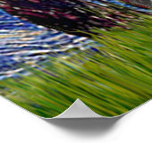 Poster Bordure Collie (Z) - Nuit étoilée (Coin)