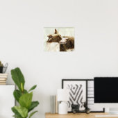 Poster "Bordure profil Collie" Reproduction d'art Imprime (Bureau à domicile)