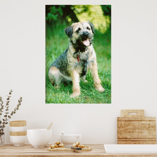 Poster Bordure Terrier (Cuisine)