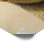 Poster Bordure Terrier avec Casquette roux (Coin)