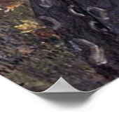 Poster BoREA, par John William Waterhouse, 1903 (Coin)