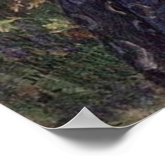 Poster Boreas (Coin)