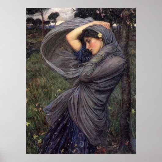 Poster Boreas (Devant)