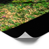 Poster borne d'incendie de Nashville (Coin)