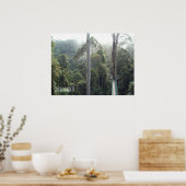 Poster Borneo forêt tropicale jungle Treetops Walkway Sab (Cuisine)