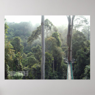 Poster Borneo forêt tropicale jungle Treetops Walkway Sab
