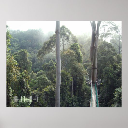 Poster Borneo forêt tropicale jungle Treetops Walkway Sab (Devant)