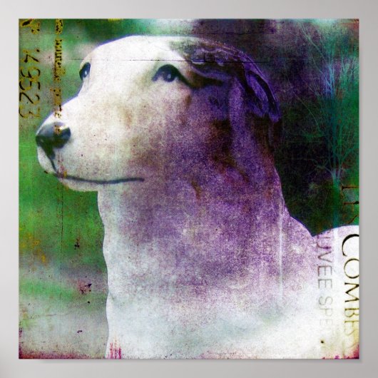 Poster Borzoi (Devant)