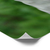 Poster Borzoi Figurine (Coin)