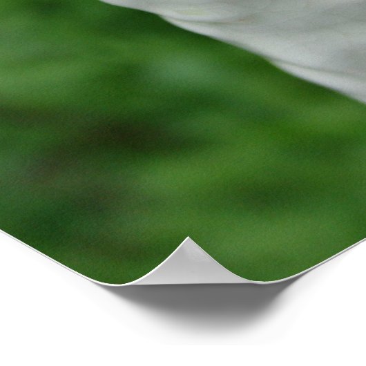 Poster Borzoi Figurine (Coin)