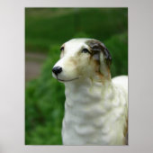 Poster Borzoi Figurine (Devant)