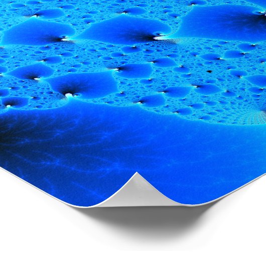 Poster bos-collosal (Coin)