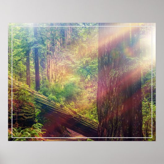 Poster-bos Poster (Voorkant)