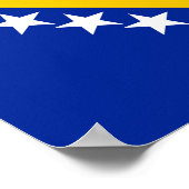 Poster Bosnia and Herzegovina Flag (Coin)