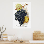 Poster Bosqui Mignon CA Vins (Cuisine)