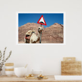 Poster bosse de chameau wadi rum (Cuisine)