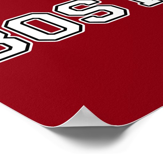 Poster Boston (Coin)