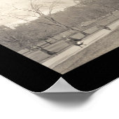 Poster Boston Common MA Photo 1910 (Coin)