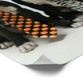 Poster Boston frères ポ タ (Coin)