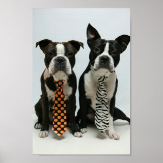 Poster Boston frères ポ タ