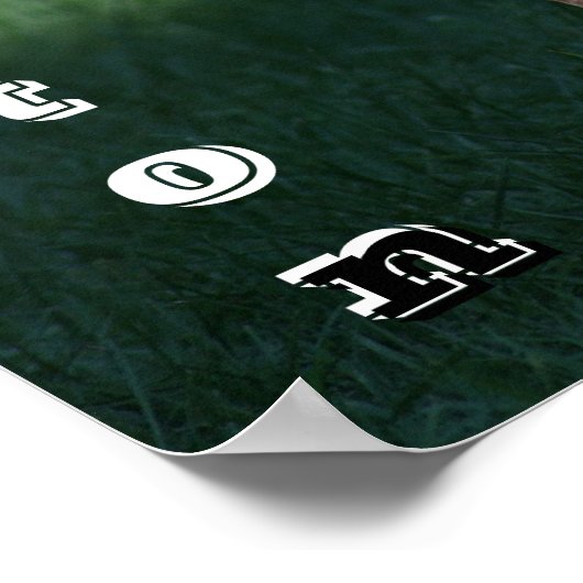 Poster Boston Terrier (Coin)