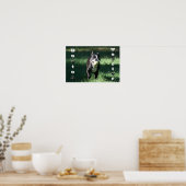 Poster Boston Terrier (Cuisine)