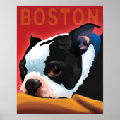 Poster Boston Terrier (Devant)