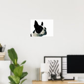 Poster Boston Terrier (Bureau à domicile)