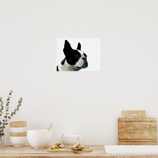 Poster Boston Terrier (Cuisine)